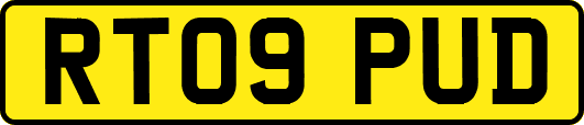 RT09PUD