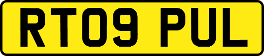 RT09PUL