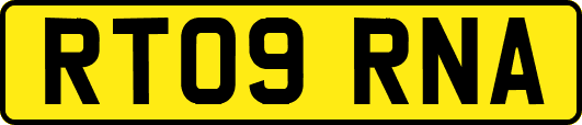RT09RNA