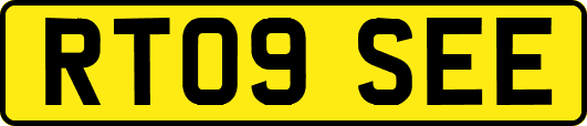 RT09SEE