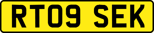 RT09SEK