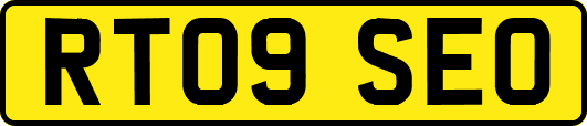 RT09SEO
