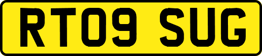 RT09SUG
