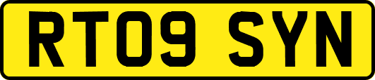 RT09SYN