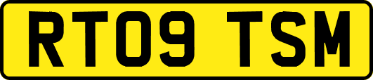 RT09TSM