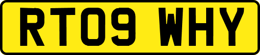 RT09WHY