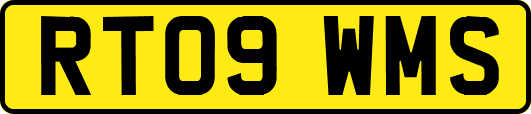 RT09WMS