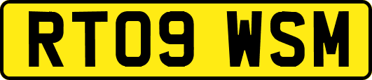 RT09WSM