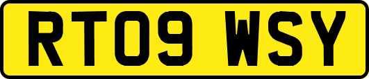 RT09WSY