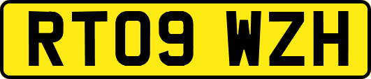RT09WZH
