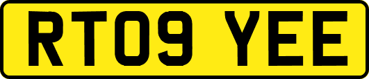 RT09YEE