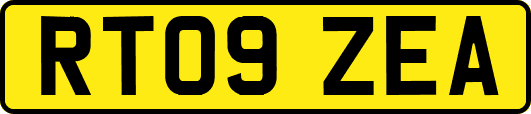 RT09ZEA