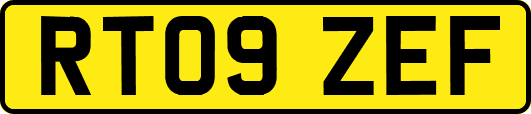 RT09ZEF