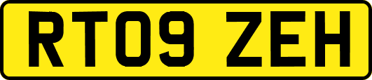 RT09ZEH