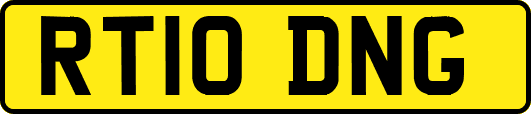 RT10DNG