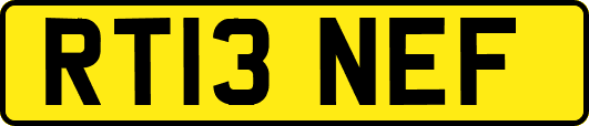 RT13NEF
