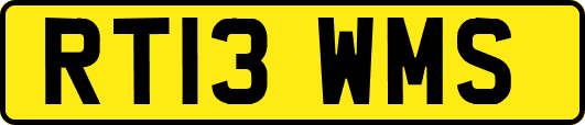 RT13WMS