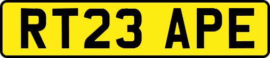 RT23APE