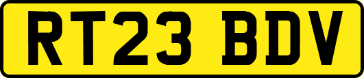 RT23BDV