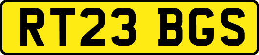 RT23BGS