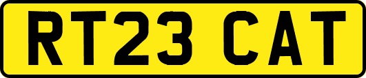 RT23CAT