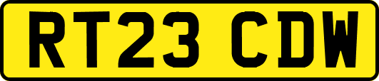 RT23CDW