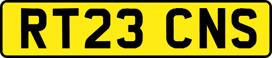 RT23CNS