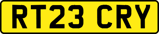 RT23CRY