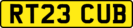 RT23CUB