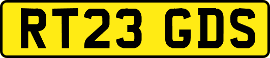 RT23GDS