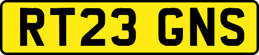 RT23GNS