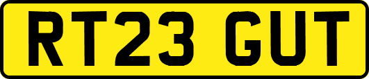 RT23GUT