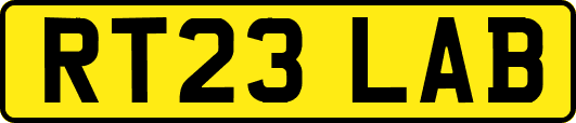 RT23LAB