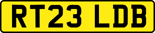 RT23LDB
