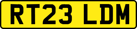 RT23LDM
