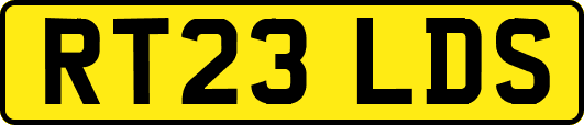 RT23LDS