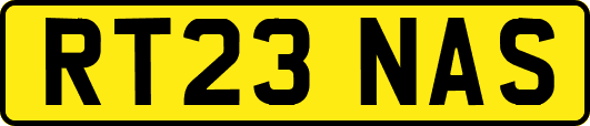 RT23NAS