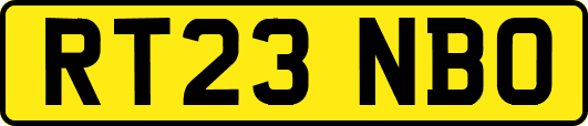 RT23NBO