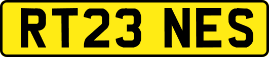 RT23NES
