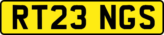 RT23NGS