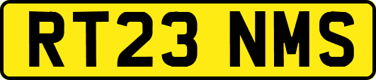 RT23NMS