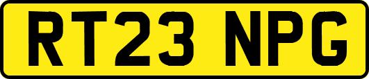 RT23NPG