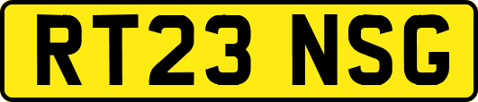RT23NSG