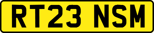 RT23NSM