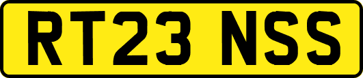 RT23NSS