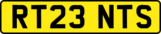 RT23NTS