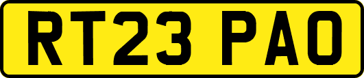 RT23PAO