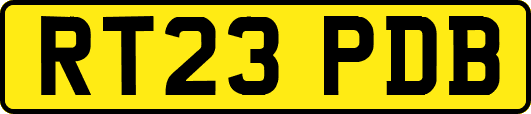 RT23PDB