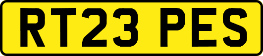 RT23PES