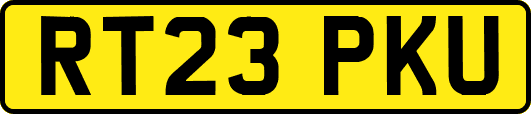 RT23PKU